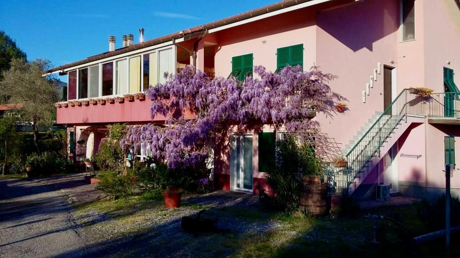 La Casa Rosa Hotel Borghetto di Vara Kültér fotó